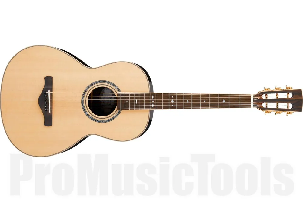 Offre Limitée Ibanez AVNZ15LTD NT Artwood - Natural