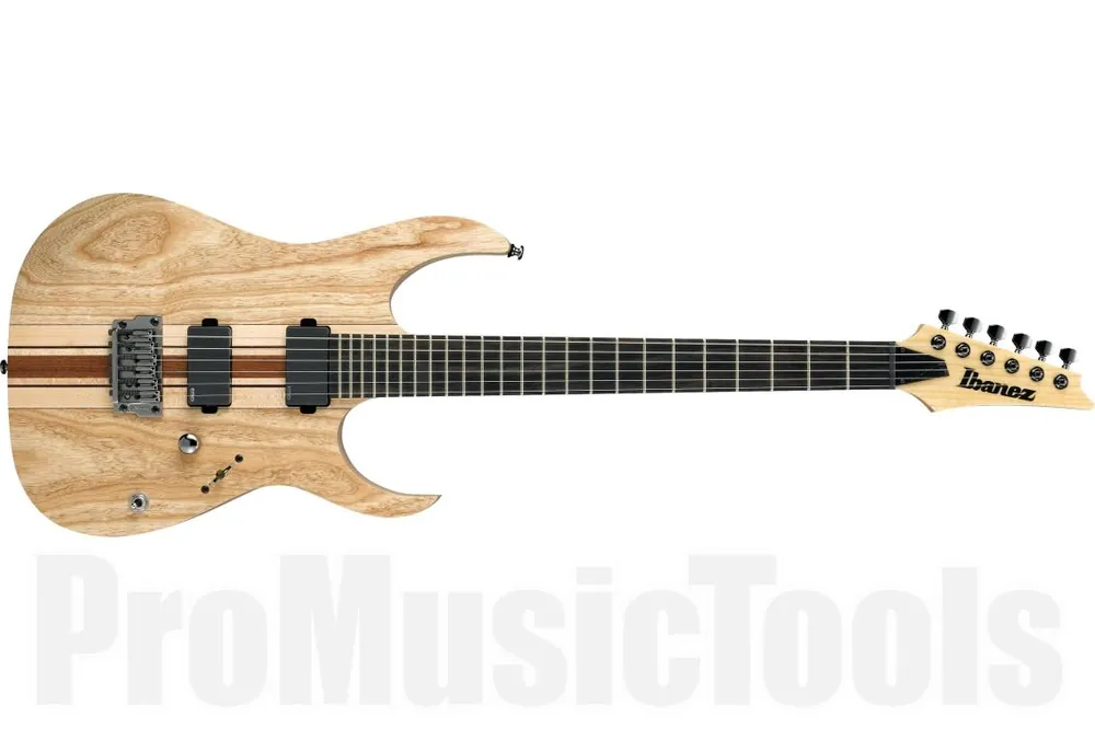 Quantité Limitée Ibanez RGIT20FE NTF - Natural Flat - Iron Label