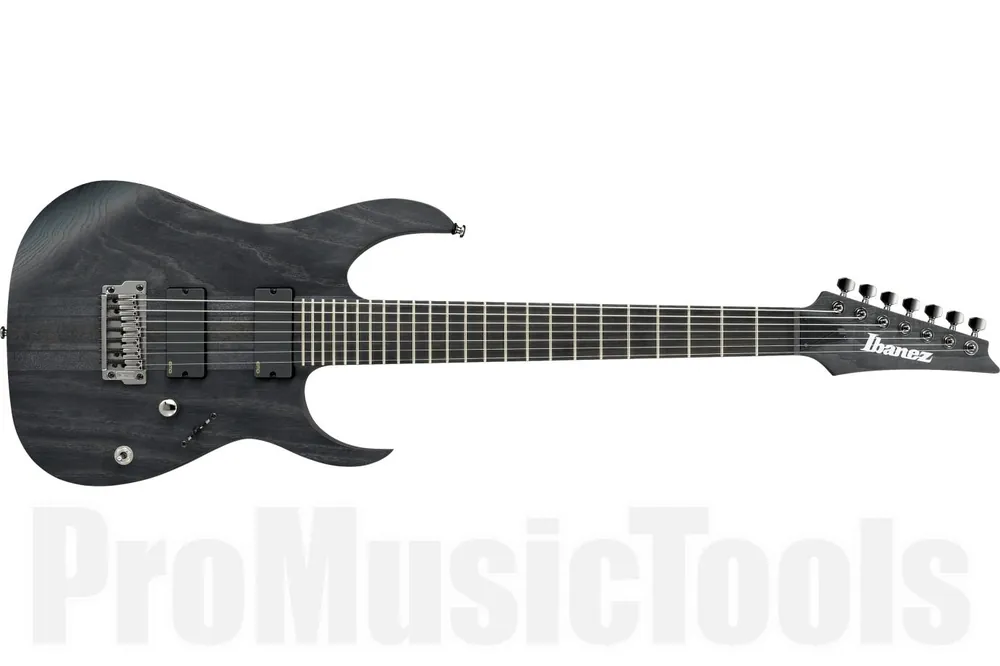 Ibanez RGIT27FE TGF - Transparent Grey Flat - Iron Label - b-stock (1x opened box) Prix Cassé