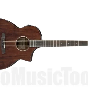 Acheter En Ligne Ibanez AEW40CD NT Artwood - Natural - b-stock