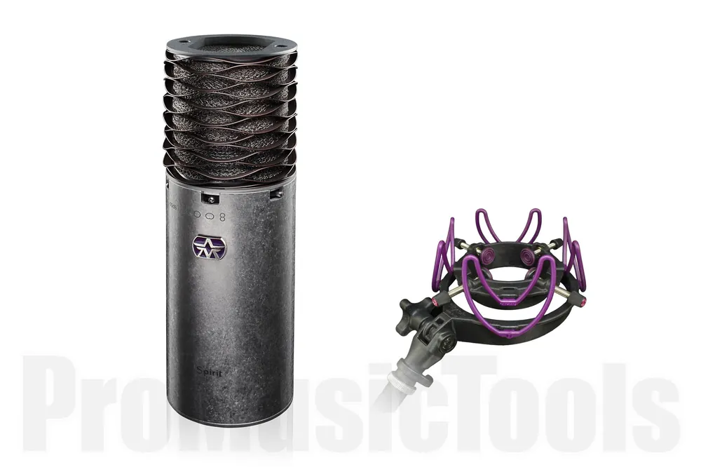 Dernière Chance Aston Microphones Spirit & USM Shock Mount - Bundle offer