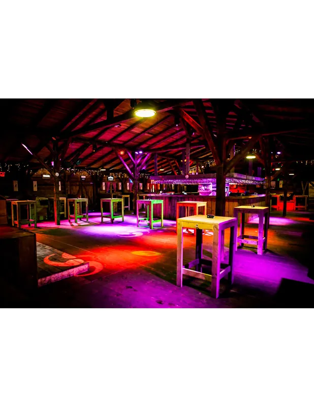 Offre Exclusive Chauvet - SlimPAR T6BT ILS