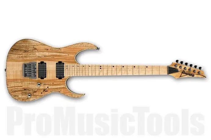Petit Prix Ibanez RG721MSM NTF Premium Natural Flat