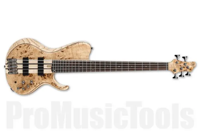 Commander Maintenant Ibanez BTB845SC NTL Bass Workshop - Natural Low Gloss