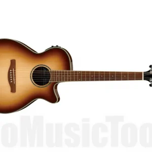 Achat Immédiat Ibanez AEG10II NNB - Natural Browned Burst
