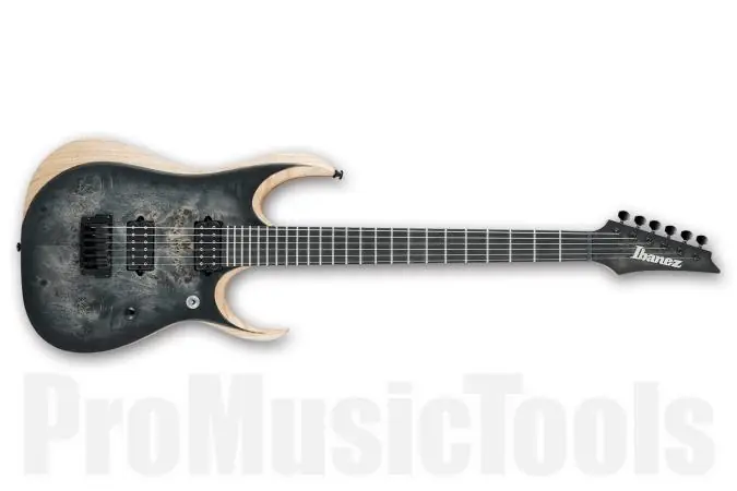 Achat Immédiat Ibanez RGDIX6PB SKB Iron Label - Surreal Black Burst - b-stock