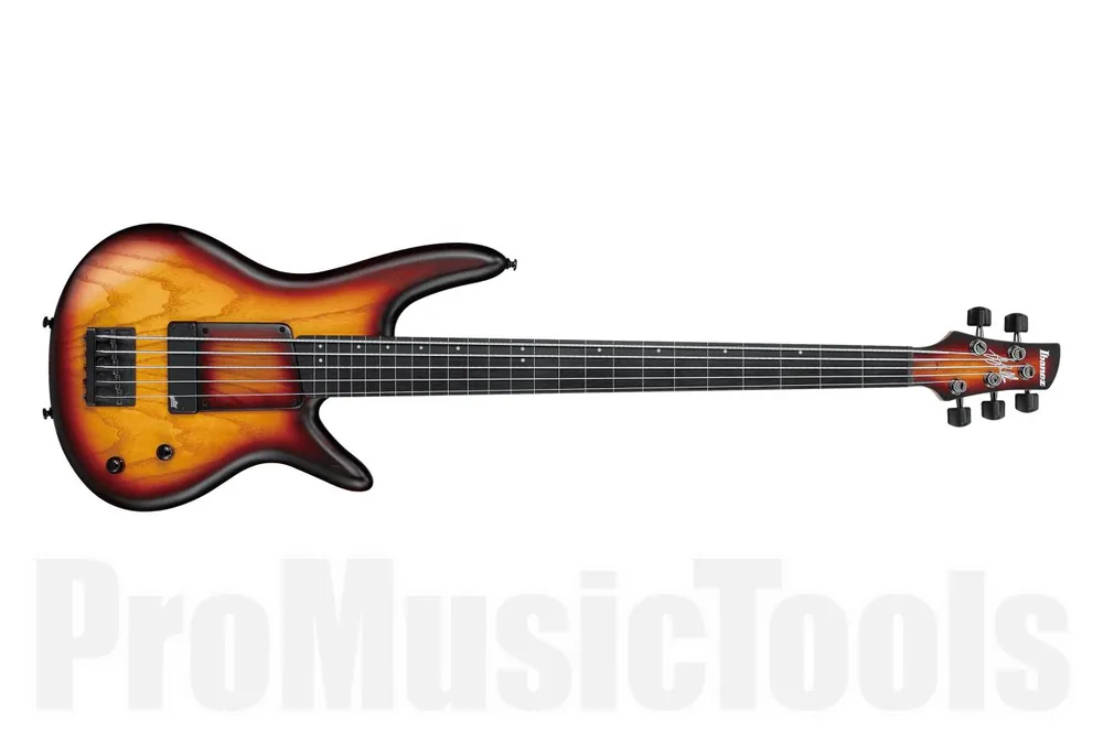 Vente Directe Ibanez GWB20TH TQF Gary Willis Signature 20th Anniversary - Tequila Sunrise Flat - Fretless