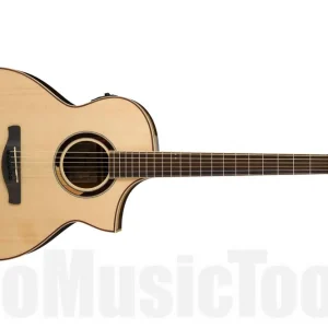 Acheter En Ligne Ibanez AEW51 NT Artwood - Natural