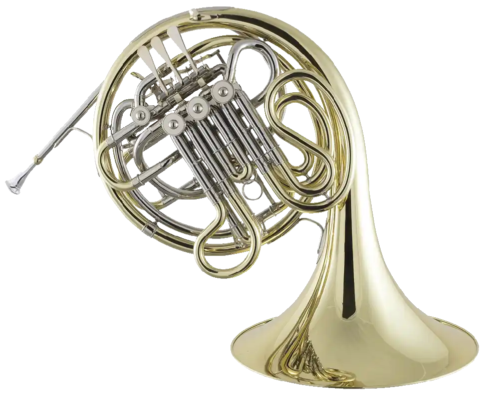Affaire À Saisir Conn Selmer Inc 6D Double French Horn with Case