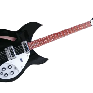 Jusqu'à Épuisement Des Stocks Rickenbacker 330JG - demi-caisse 330 w/c noir