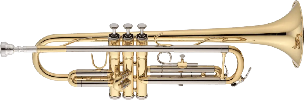 Bon Marché Jupiter JTR701Q - Tompette Sib vernie