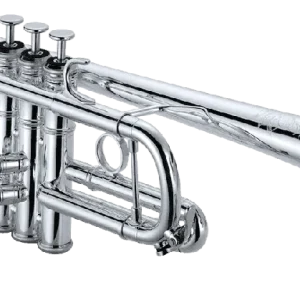 XO XO1624SSR - trompette ut xo1624ssr Quantité Limitée