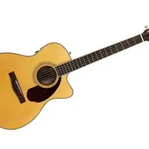 Jusqu'à Épuisement Des Stocks Fender PM-3 Standard Triple-0 with Case Natural