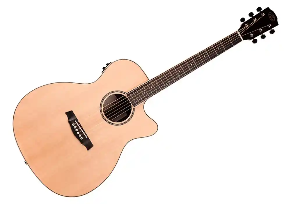DISCONTINUE Prodipe GUITARE FOLK JM FOREST SGA 100 Petit Prix