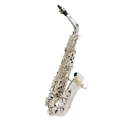 Prix Réduit Buffet Crampon SENZO - Saxophone alto cuivre argenté, avec étui sac à dos -