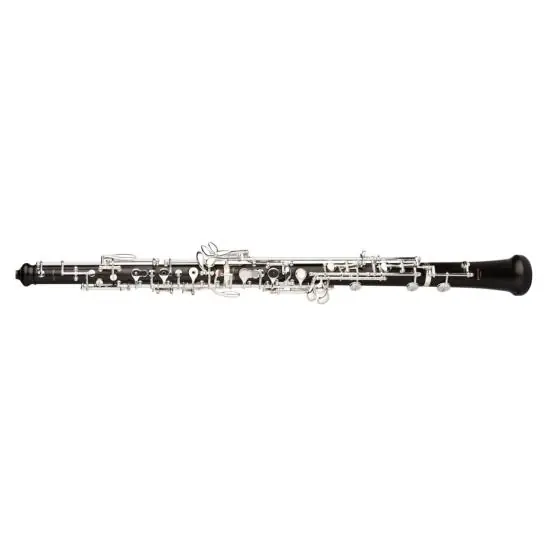 DISCONTINUE RIGOUTAT DELPHINE - Hautbois en ébène, système conservatoire simplifié, semi-automatique, avec étui Super Prix