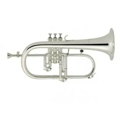 Paiement Sécurisé Antoine Courtois REFERENCE 159R - Bugle Sib laiton rose argentée avec étui