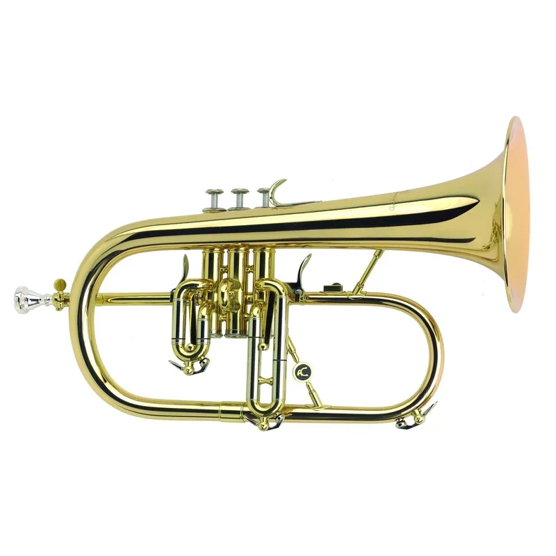Certifié Antoine Courtois 155 - Bugle Sib verni avec étui