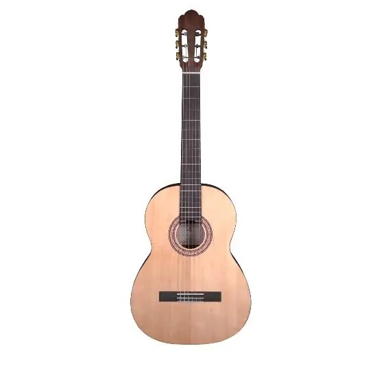 Prodipe Primera 4/4 - Guitare classique Vente Directe