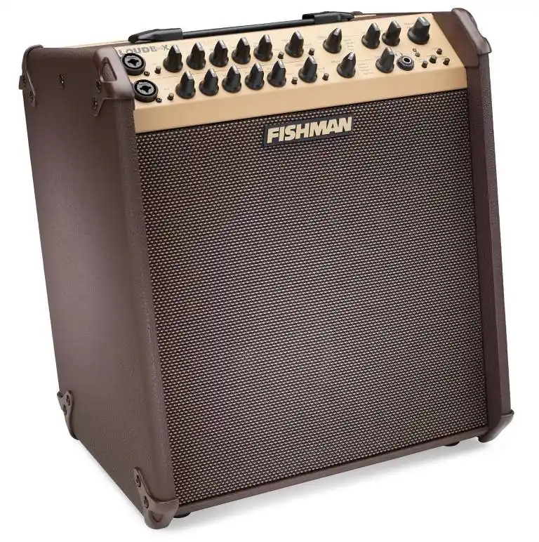 Fishman Loudbox Performer 180 Watt Acoustic Amplifier with Bluetooth Bon Plan