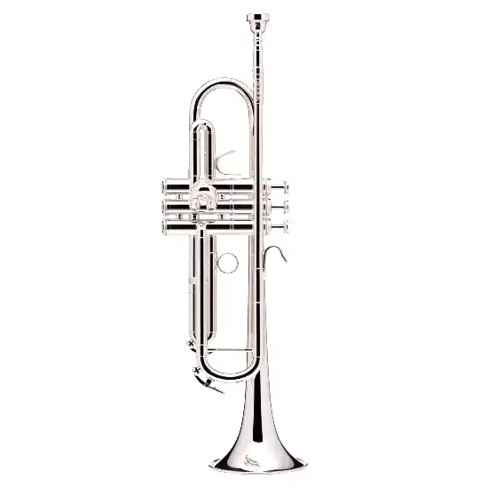 Authentique B&S PRODIGE BS210LR-2 - Trompette Sib, branche inversée - argentée