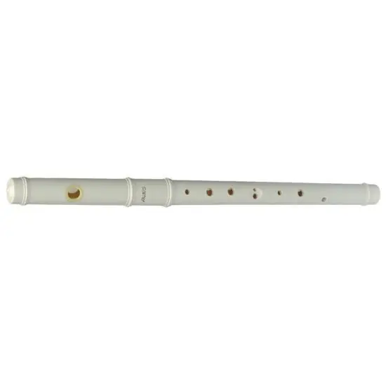 Acheter Direct Aulos C21 - FIFRE EN UT
