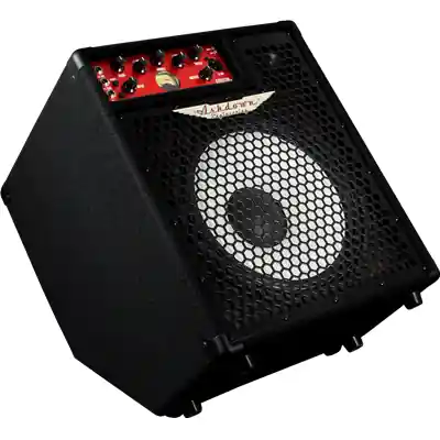 DISCONTINUE Ashdown Enginering Original C112-300 - Lightweight Bass Combo Remise