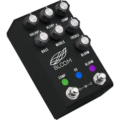 Jackson Audio Bloom Midi Black Meilleur Prix