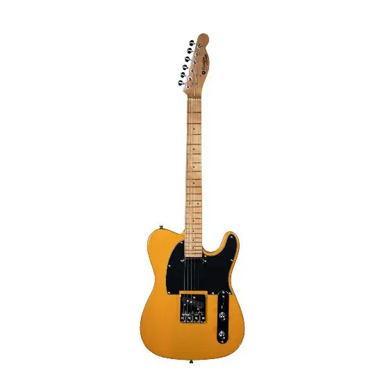 Populaire Guitare électrique Prodipe TC80MA Butterscotch