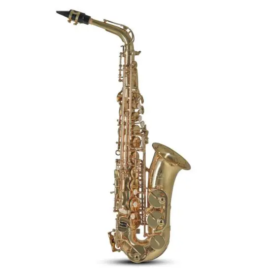 Conn AS501 - Saxophone alto avec étui sac à dos Livraison Express