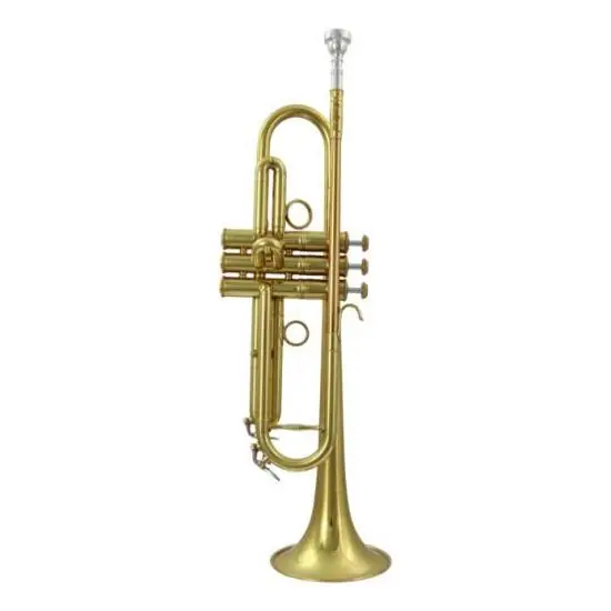 Carol Brass Pro Jazz Lead 5L PJL5L - Trompette Sib branche inversée avec étui Acheter Direct