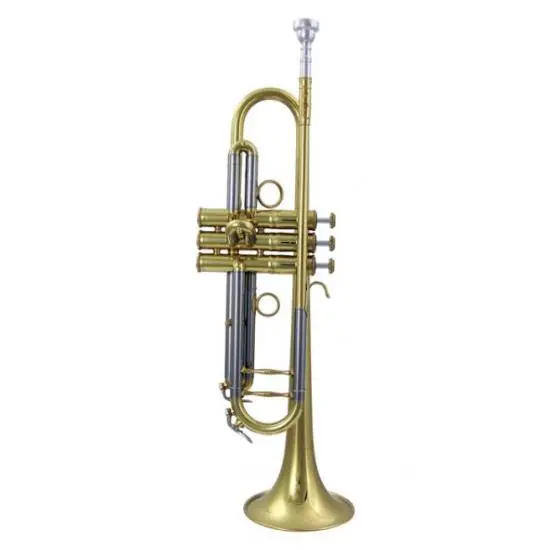 Carol Brass PPro Classic Lead 7L PCL7L - Trompette Sib avec étui Expédié Aujourd'hui