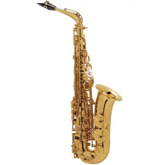 Selmer Super Action 80 série II plaqué Or - Saxophone alto professionnel avec étui et bec complet Offre Exclusive