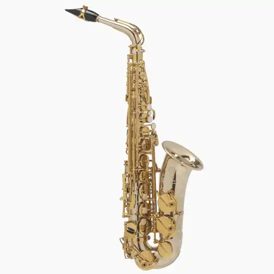 Retour Gratuit Selmer SUPREME - Saxophone alto Argent Massif avec étui et accessoires