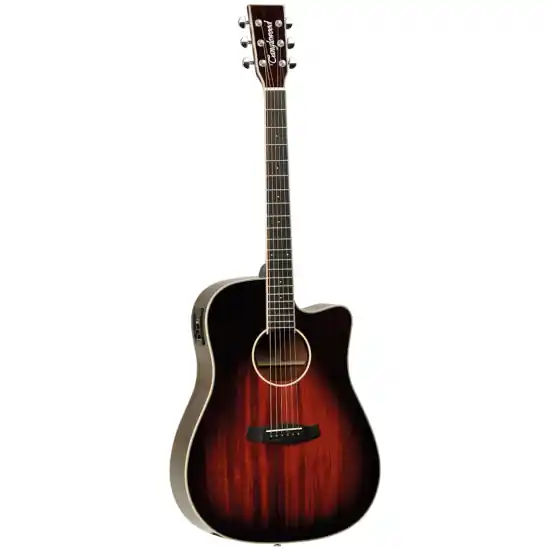 Certifié Tanglewood Winterleaf TW5 E AVB