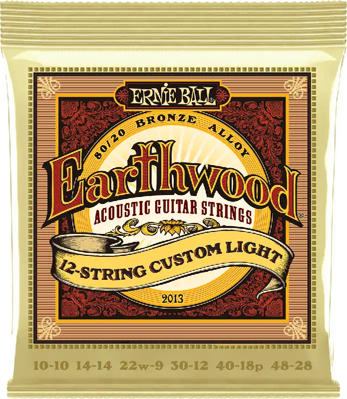 Ernie Ball 2013 Acoustiques Earthwood 80/20 Bronze Custom Light 12 cordes 10/48 Promotion