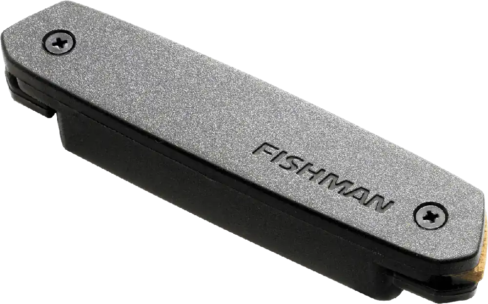 Fishman PRO-NEO-D01 Simple Bobinage Offre Du Jour