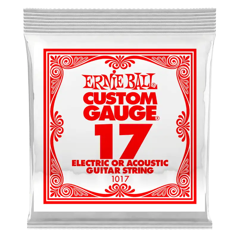 Achat Immédiat Ernie Ball Single Plain Steel Electric or Acoustic Guitar String - .017