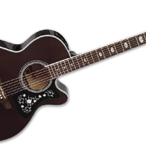 Acheter Direct Takamine GN75CETBK NEX - Cutaway - Electro - Transparent Black
