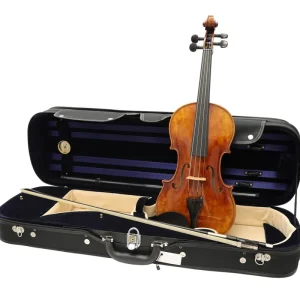 Produit De Marque Mathias Thoma Violin Outfit Model 52 - 4/4